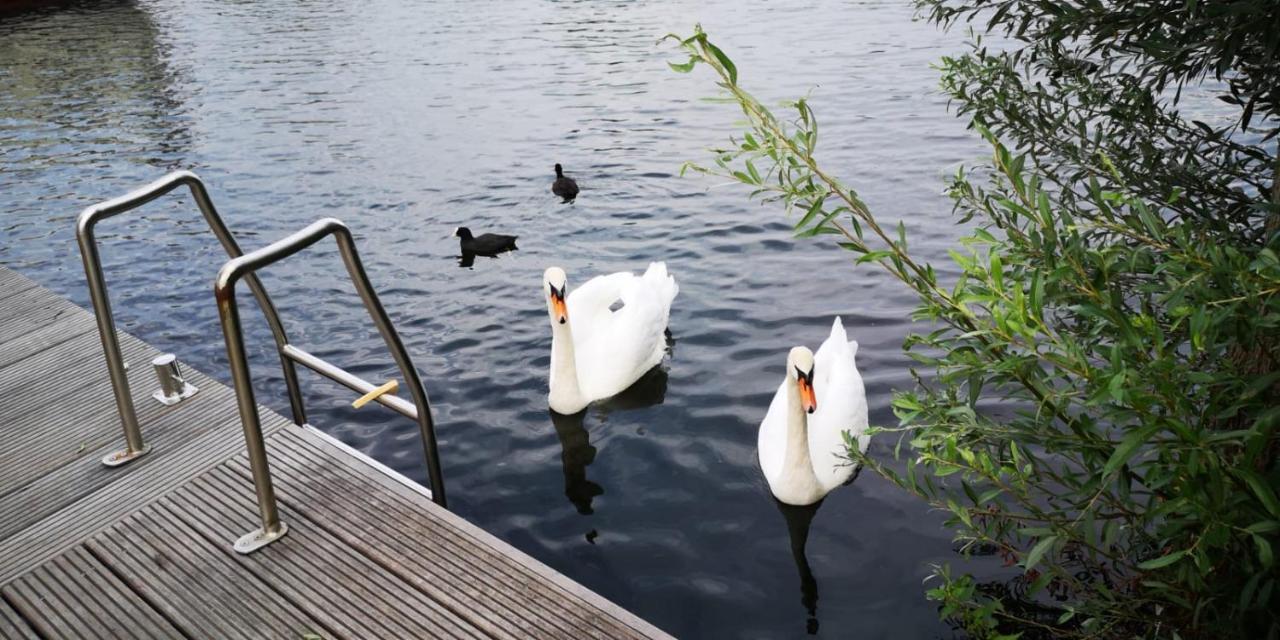 Hotel C'Est La Vie Houseboat Nederhorst den Berg Zewnętrze zdjęcie